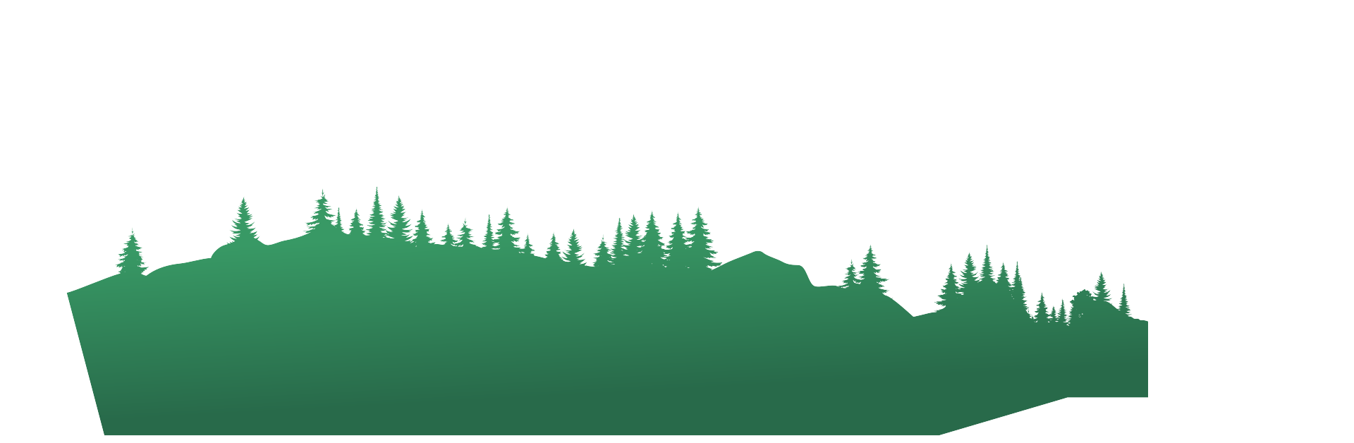 Layer 5