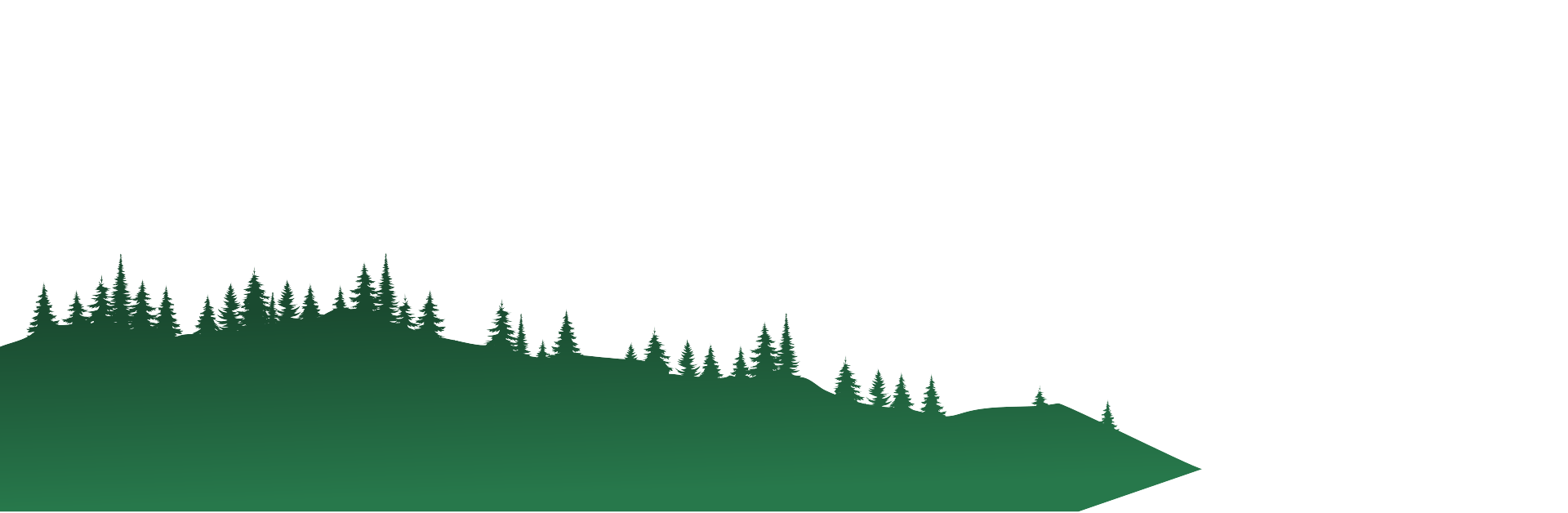 Layer 6