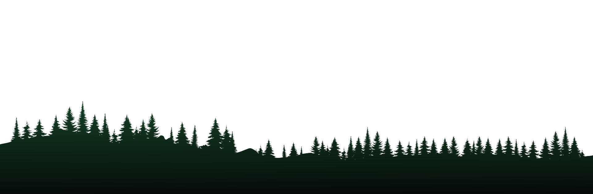 Layer 7
