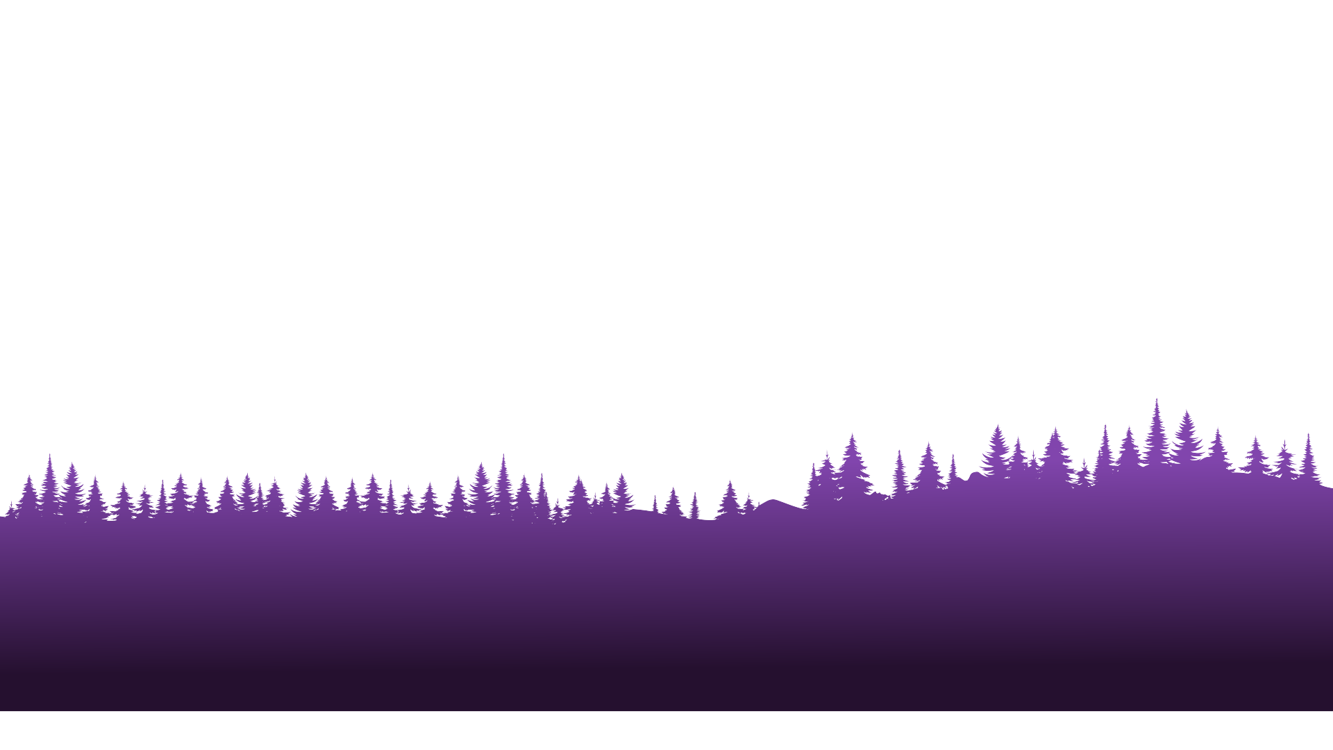 Layer 4