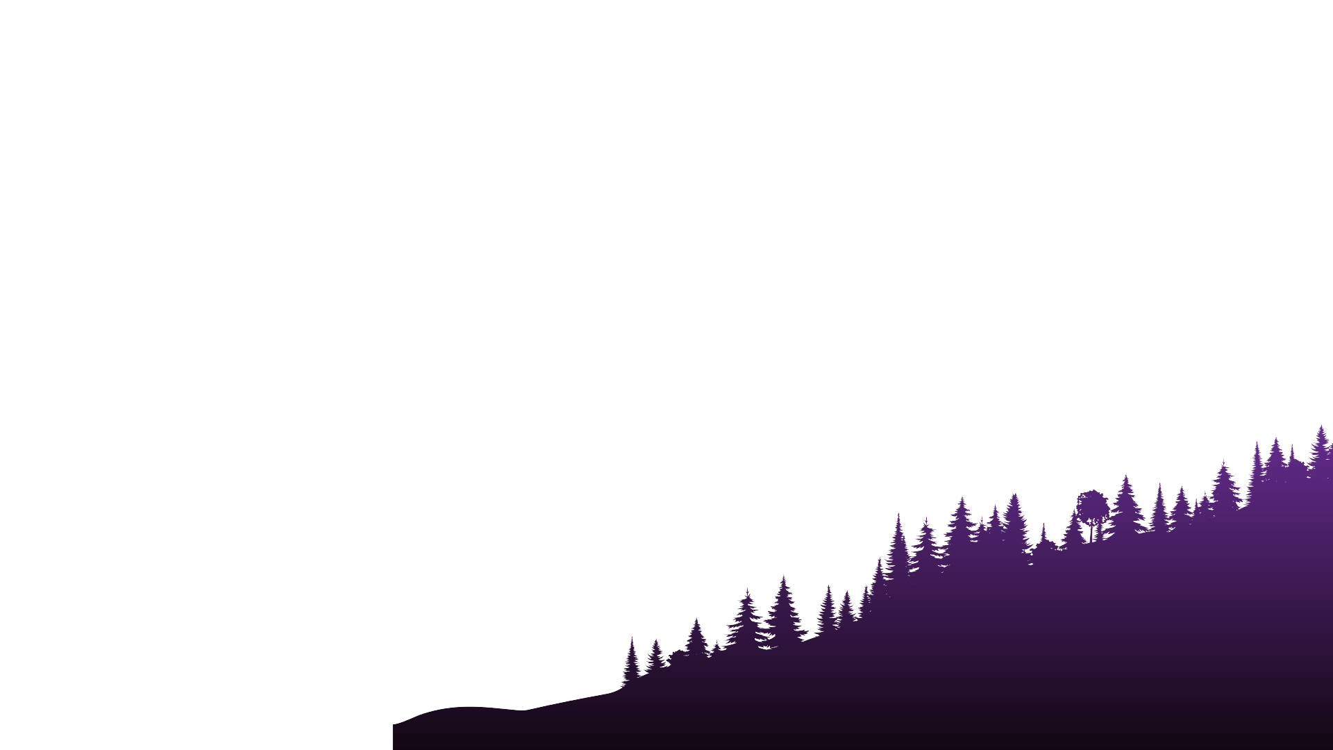 Layer 5