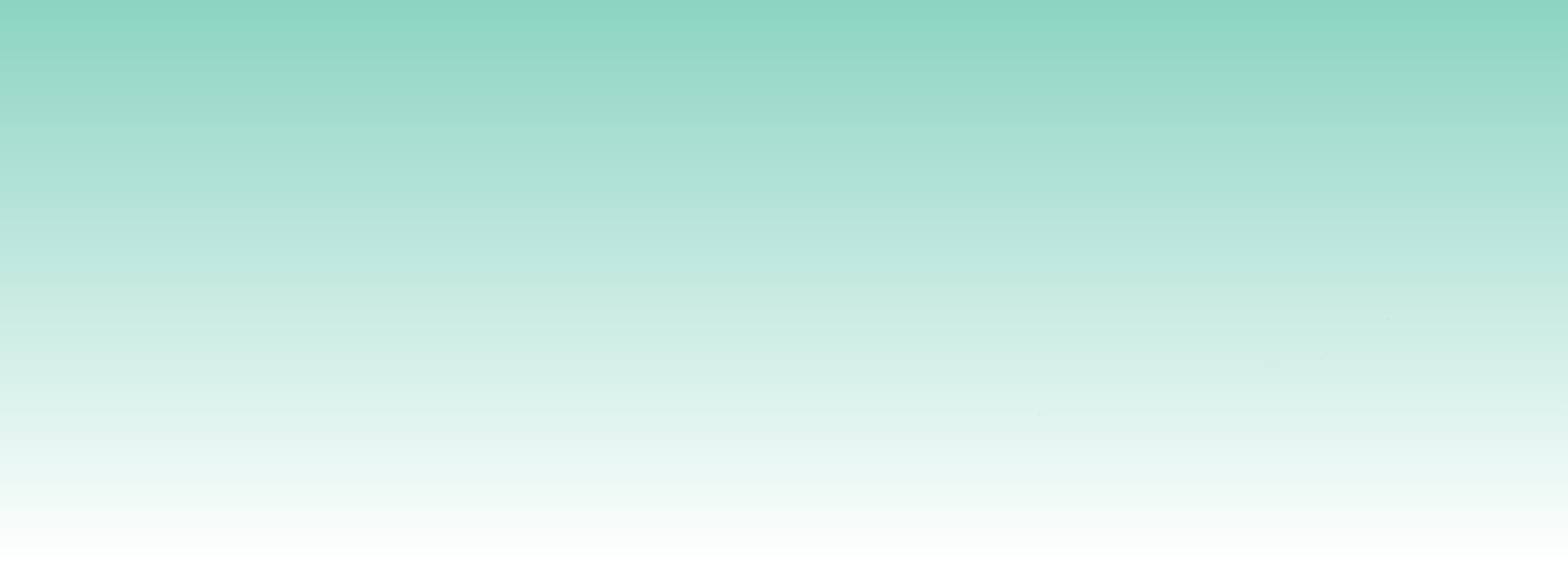 Layer 0